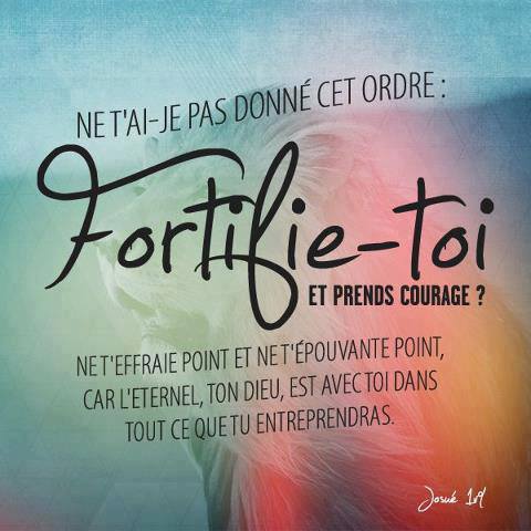 Fortifie-toi !